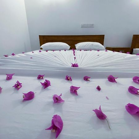 Yala Safari Green Home Stay 티사마하라마 외부 사진